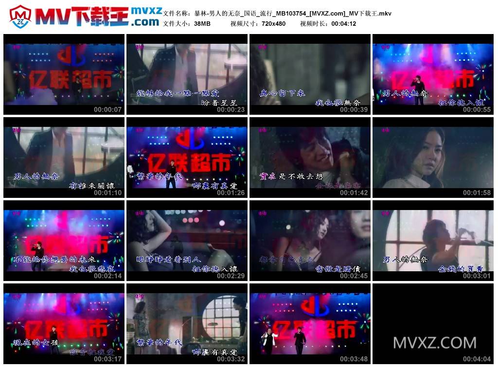 暴林-男人的无奈_国语_流行_MB103754